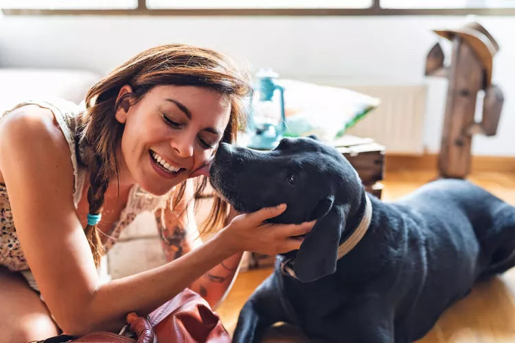 🐾 How Max Helped Me Breathe Again