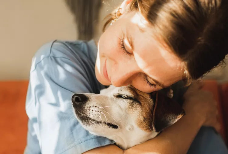 From Empty Mornings to Wagging Tails: How a Rescue Dog Changed My Life