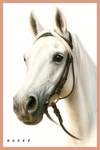 We Create Your Portrait