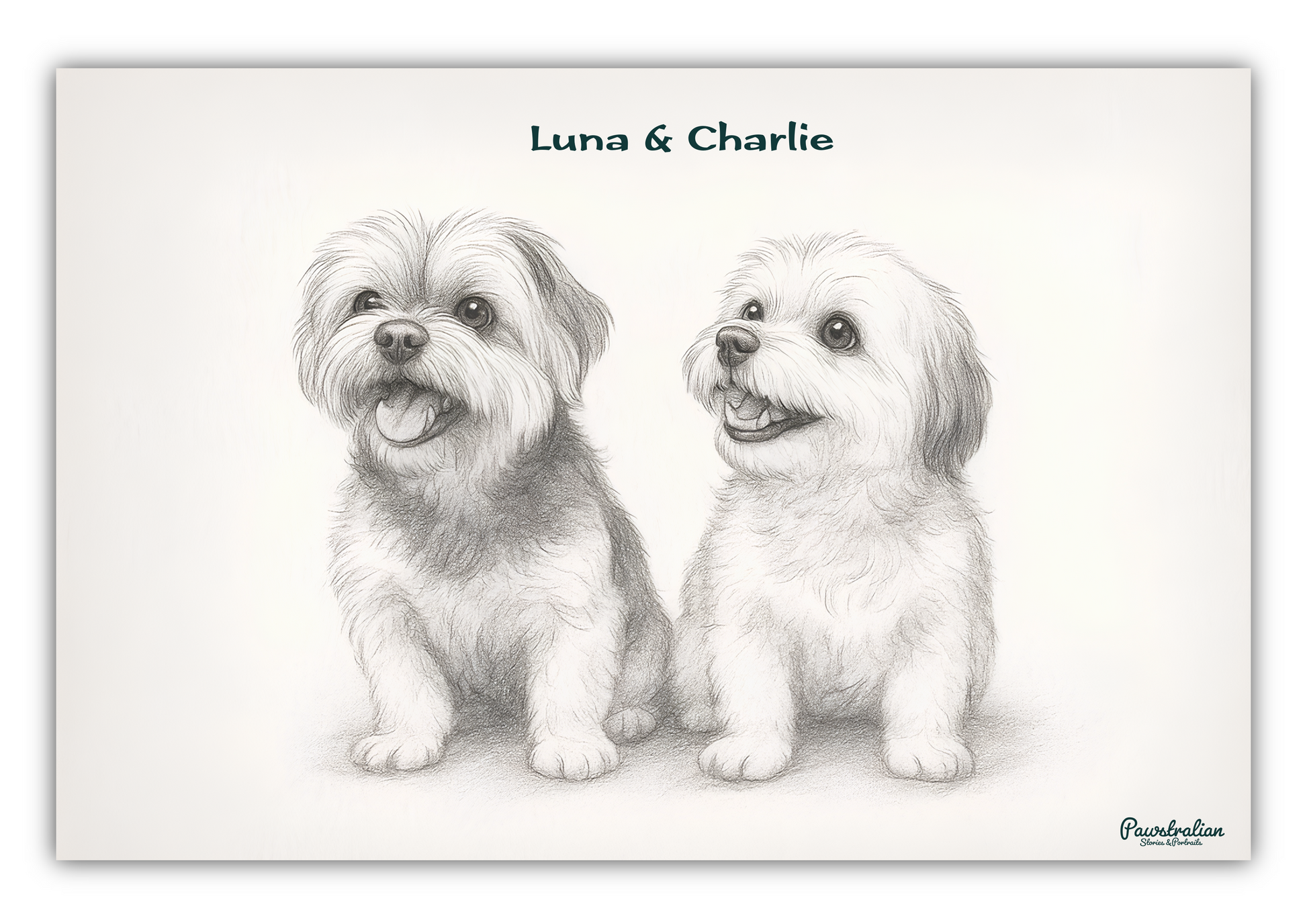 Memorial-style pencil sketch of two pets – hand-drawn black and white portrait from photo