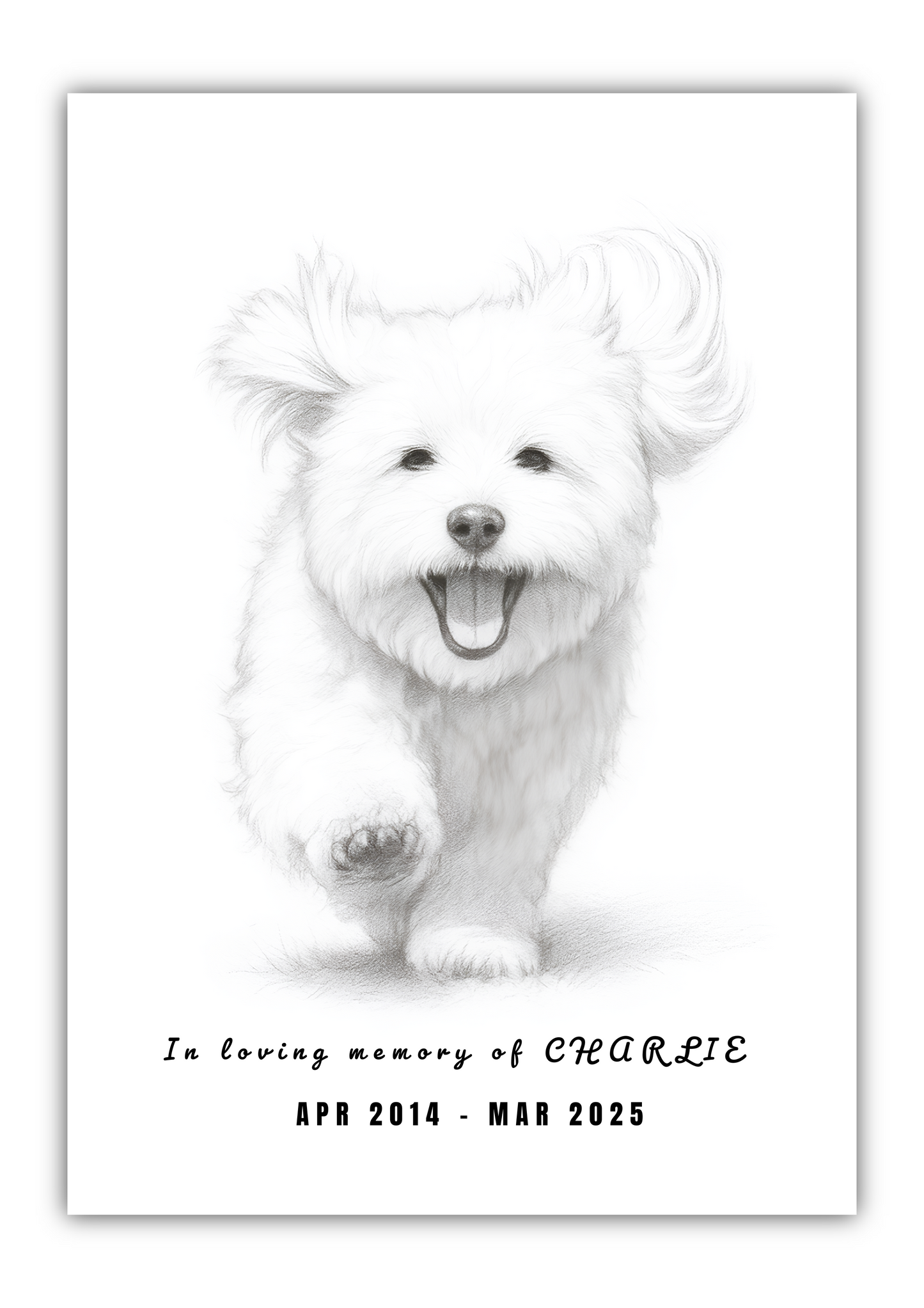 Custom Pet Memorial Portrait – Painting Tribute for Dogs, Cats & Cherished Pets