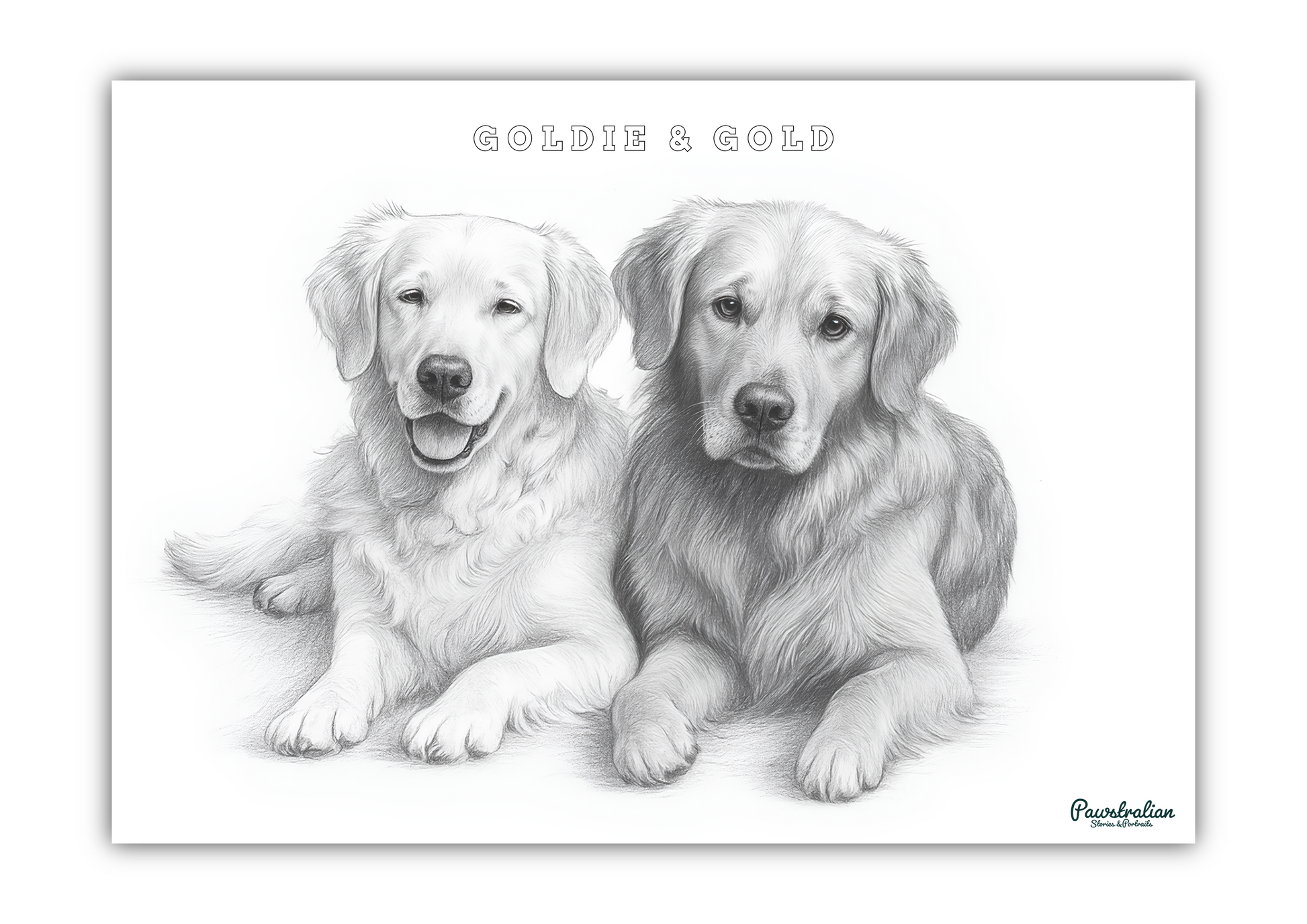 Fine pencil sketch portrait of two pets – monochrome memorial artwork digitally-drawn by Aussie artists